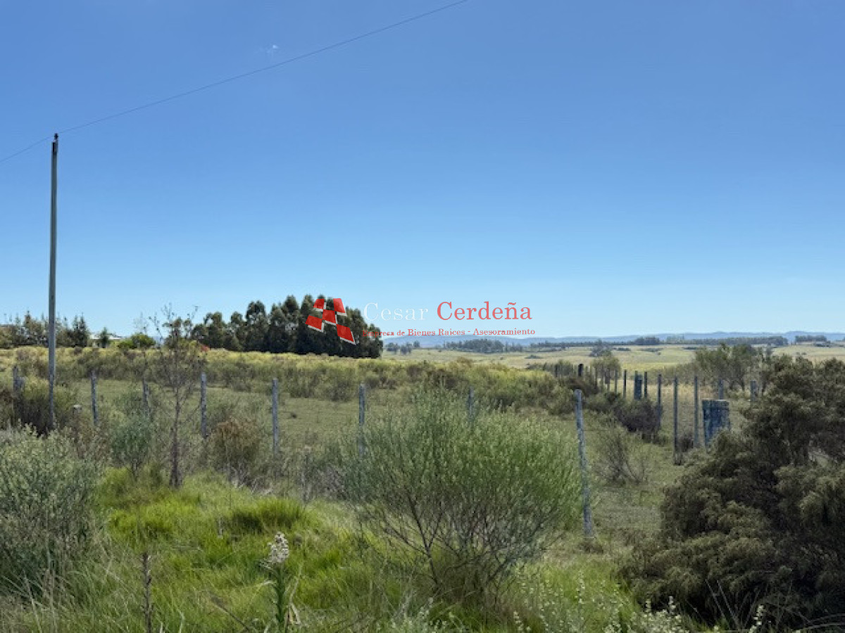 Chacra ID.1578 - VENTA - Chacra en zona de Bodegas Garzón