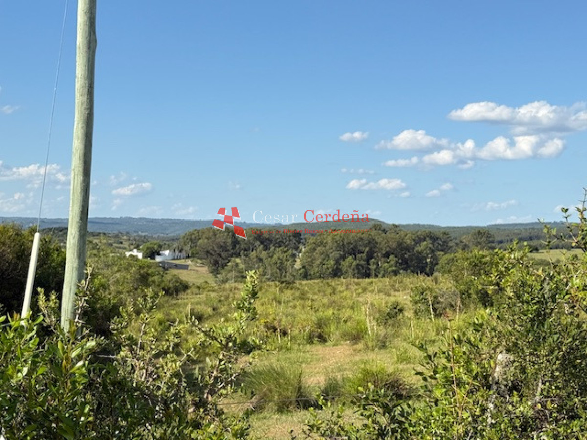 Chacra ID.1584 - VENTA - 39 Hectareas en Sierra de las Cañas