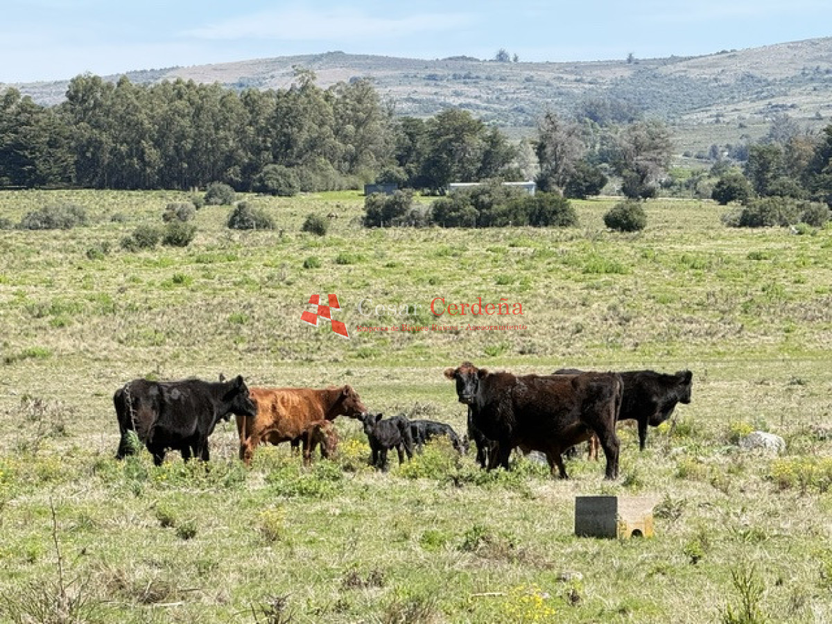 Chacra ID.2017 - VENTA - 5 Hectáreas - Chacra en Pueblo Eden 