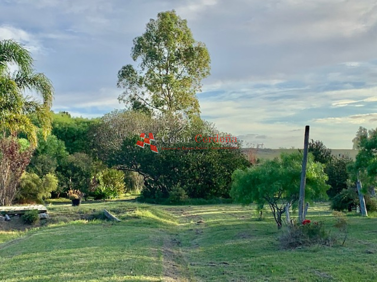 Chacra ID.1566 - VENTA - 5 Hectáreas - Chacra en Pueblo Eden 
