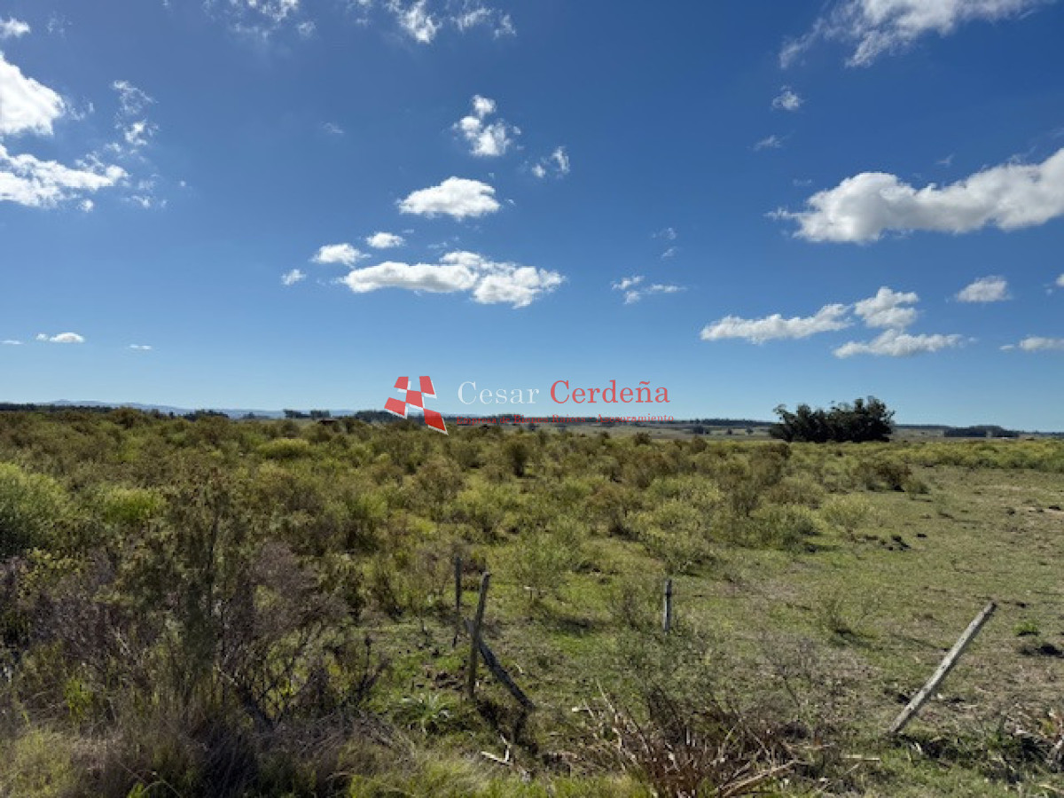 Chacra ID.1578 - VENTA - Chacra en zona de Bodegas Garzón