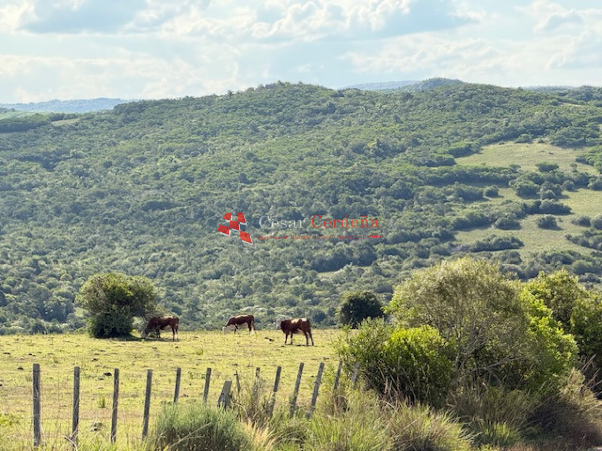 Chacra ID.1584 - VENTA - 39 Hectareas en Sierra de las Cañas