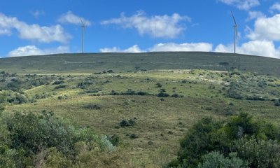 VENTA - Campito de 86 hectáreas en las Sierras