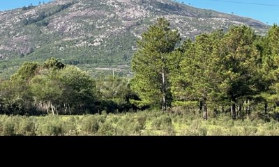 VENTA -Chacra de 7 hectáreas en Cerro Pan de Azucar