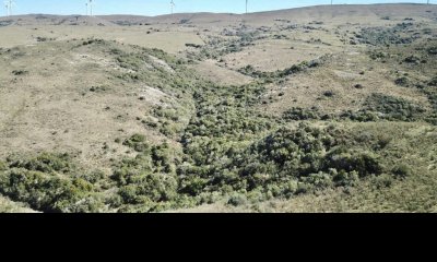 VENTA - Campito de 42 hectáreas en las Sierras