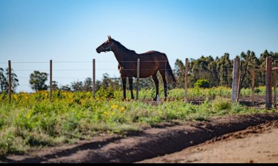 VENTA - Chacras en Jose Ignacio rural, complejo Los Zainos, ruta 9