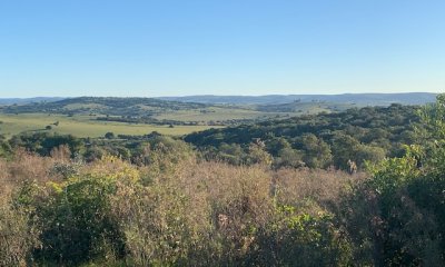 VENTA - 39 Hectareas en Sierra de las Cañas