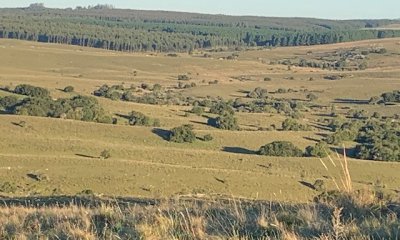 VENTA - 19 Hectáreas en Sierra de las Cañas