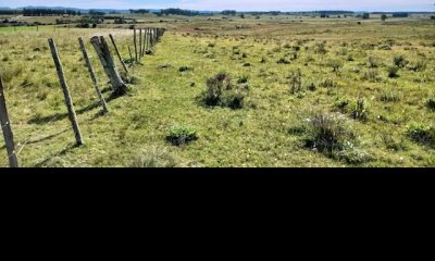 VENTA - Chacra en zona de Bodegas Garzón