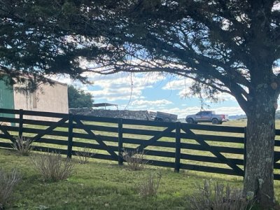 venta - 267 hectáreas ganaderas - ccb1829p