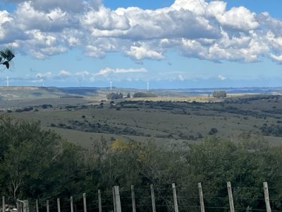 venta - 267 hectáreas ganaderas - ccb1829p