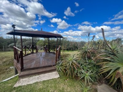 venta - 267 hectáreas ganaderas - ccb1829p