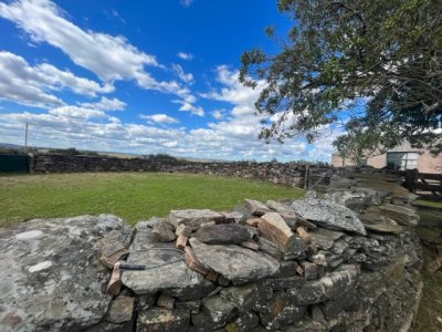 venta - 267 hectáreas ganaderas - ccb1829p