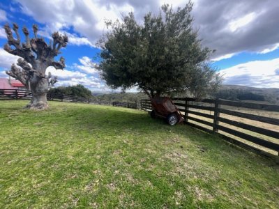 venta - 267 hectáreas ganaderas - ccb1829p