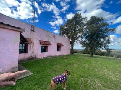 venta - 267 hectáreas ganaderas - ccb1829p