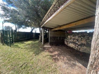 venta - 267 hectáreas ganaderas - ccb1829p