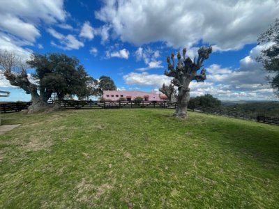 venta - 267 hectáreas ganaderas - ccb1829p