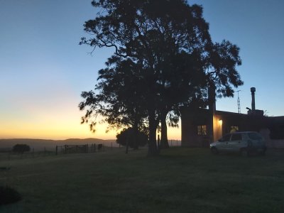 venta - 267 hectáreas ganaderas - ccb1829p