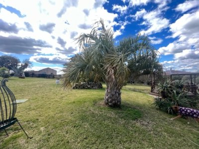 venta - 267 hectáreas ganaderas - ccb1829p