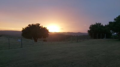 venta - 267 hectáreas ganaderas - ccb1829p