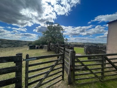 venta - 267 hectáreas ganaderas - ccb1829p