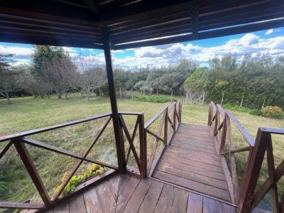 venta - 267 hectáreas ganaderas - ccb1829p