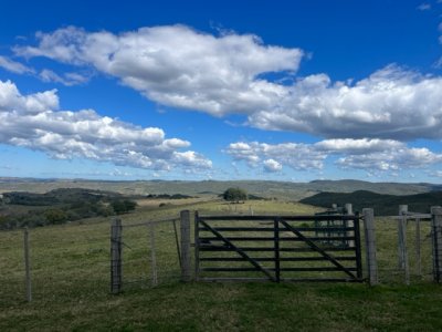 venta - 267 hectáreas ganaderas - ccb1829p