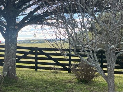 venta - 267 hectáreas ganaderas - ccb1829p