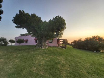 venta - 267 hectáreas ganaderas - ccb1829p