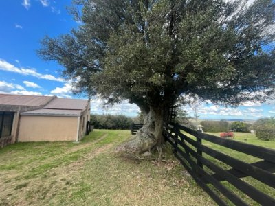 venta - 267 hectáreas ganaderas - ccb1829p