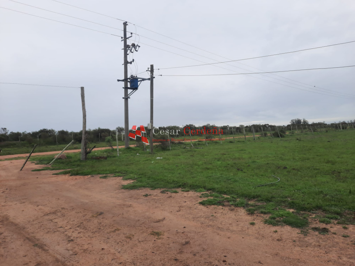 Campo Ref.1776 - VENTA - Campo 1324 has Agricolas Ganaderas Treinta y Tres