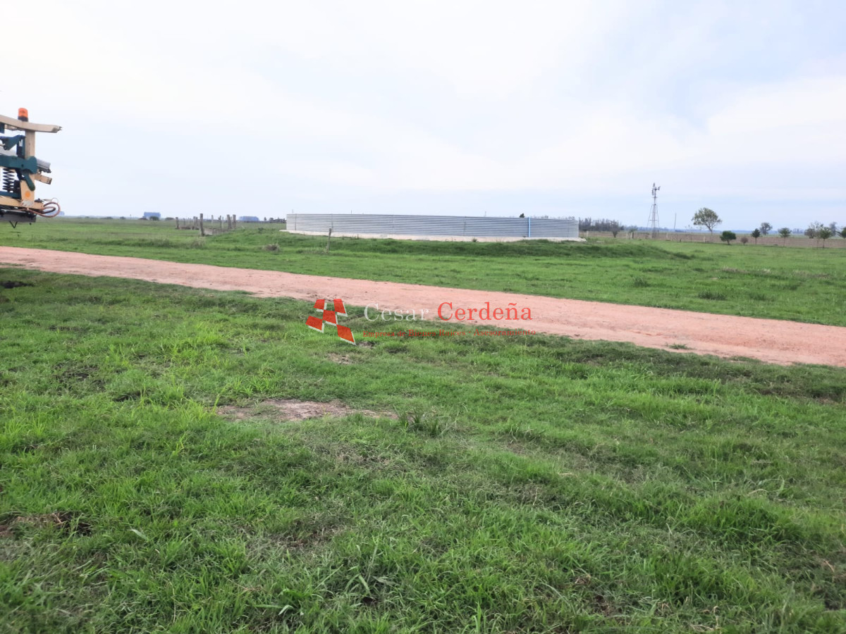 Campo Ref.1776 - VENTA - Campo 1324 has Agricolas Ganaderas Treinta y Tres
