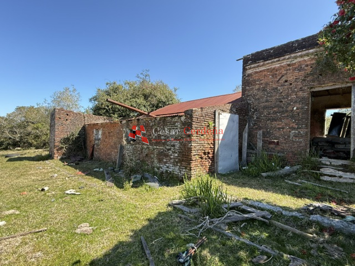 VENTA - Campo 106 hectareas - Castillos - CCB1968P
