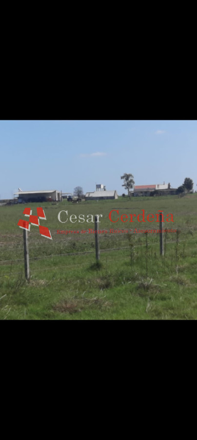 Campo Ref.1776 - VENTA - Campo 1324 has Agricolas Ganaderas Treinta y Tres
