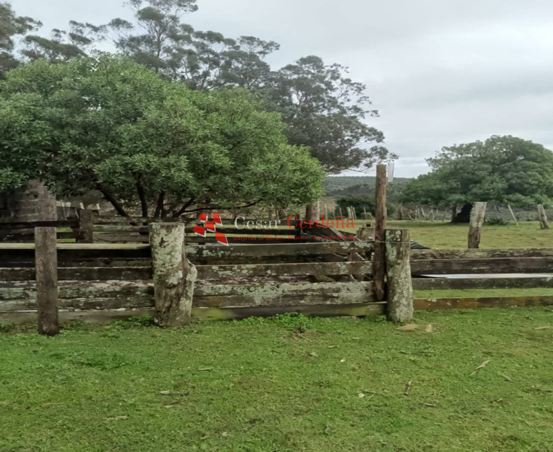 VENTA - Campo Ganadero-Forestal de 176 hectáreas - Castillos, Rocha - CCB1999P