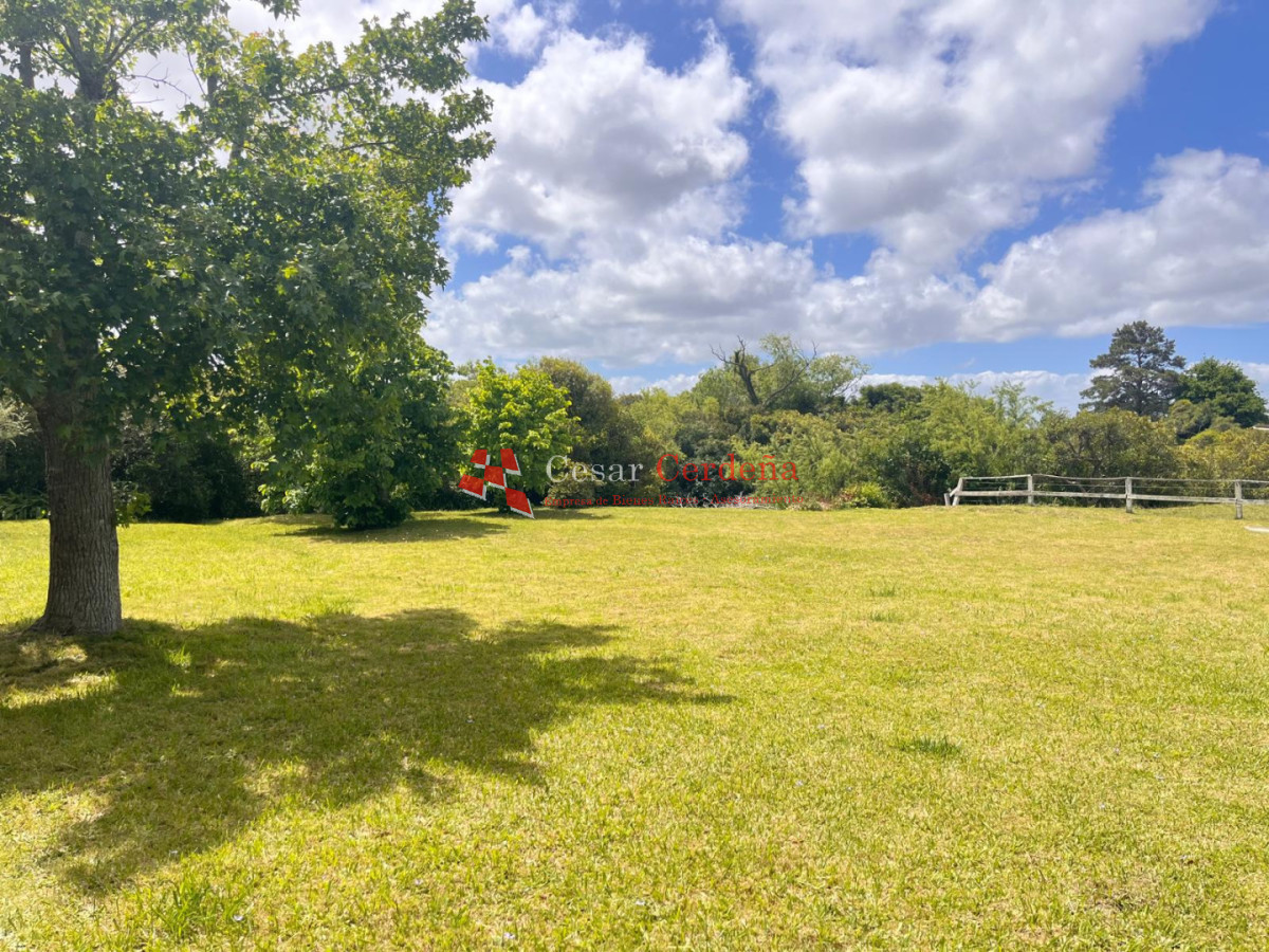 Campo Ref.1850 - VENTA - 745 HECTAREAS ROCHA