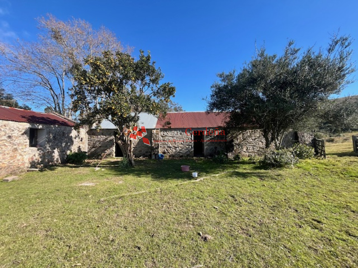 VENTA - Campo 79 hectareas ruta 109 - CCB1887P