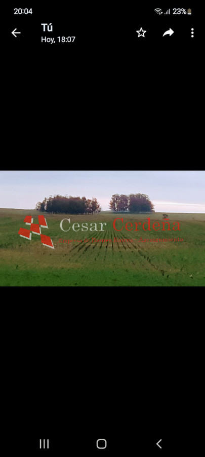 Campo Ref.1776 - VENTA - Campo 1324 has Agricolas Ganaderas Treinta y Tres