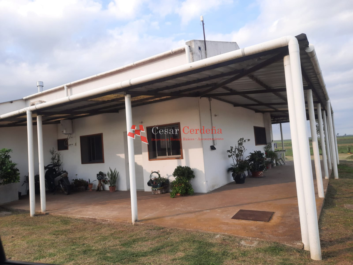 Campo Ref.1776 - VENTA - Campo 1324 has Agricolas Ganaderas Treinta y Tres