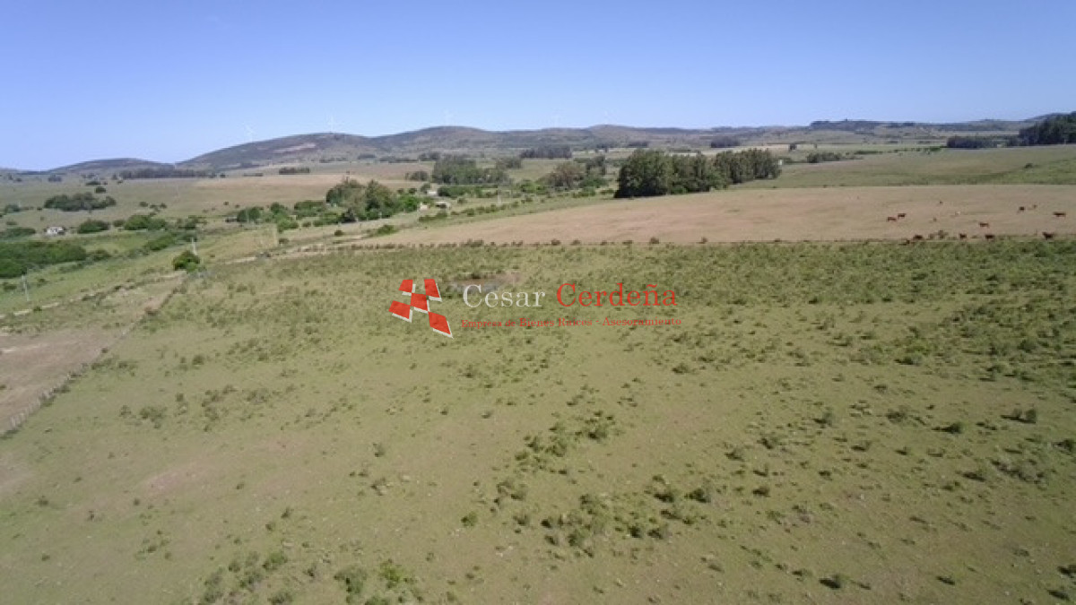 Campo Ref.1958 - VENTA - Campo 82 hectáreas