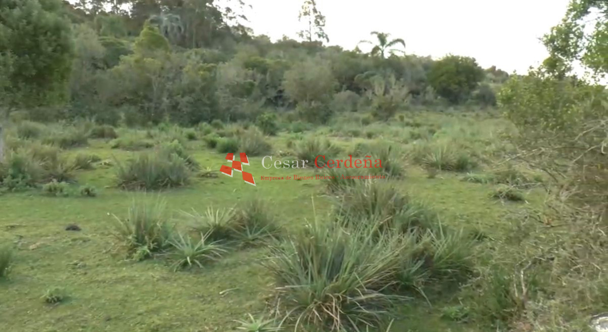 Campo Ref.1968 - VENTA - Campo 106 hectareas - Castillos