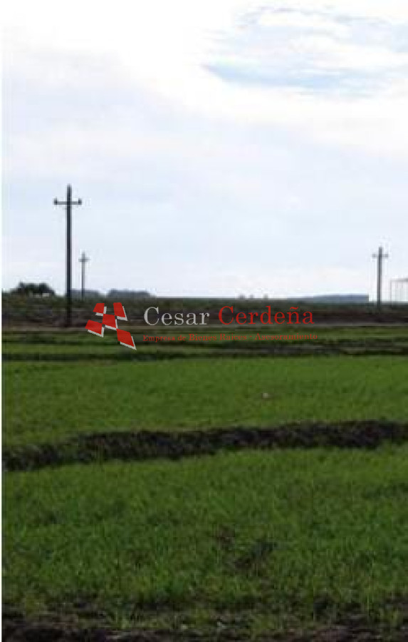 Campo Ref.1776 - VENTA - Campo 1324 has Agricolas Ganaderas Treinta y Tres