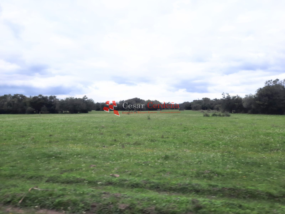 Campo Ref.1776 - VENTA - Campo 1324 has Agricolas Ganaderas Treinta y Tres