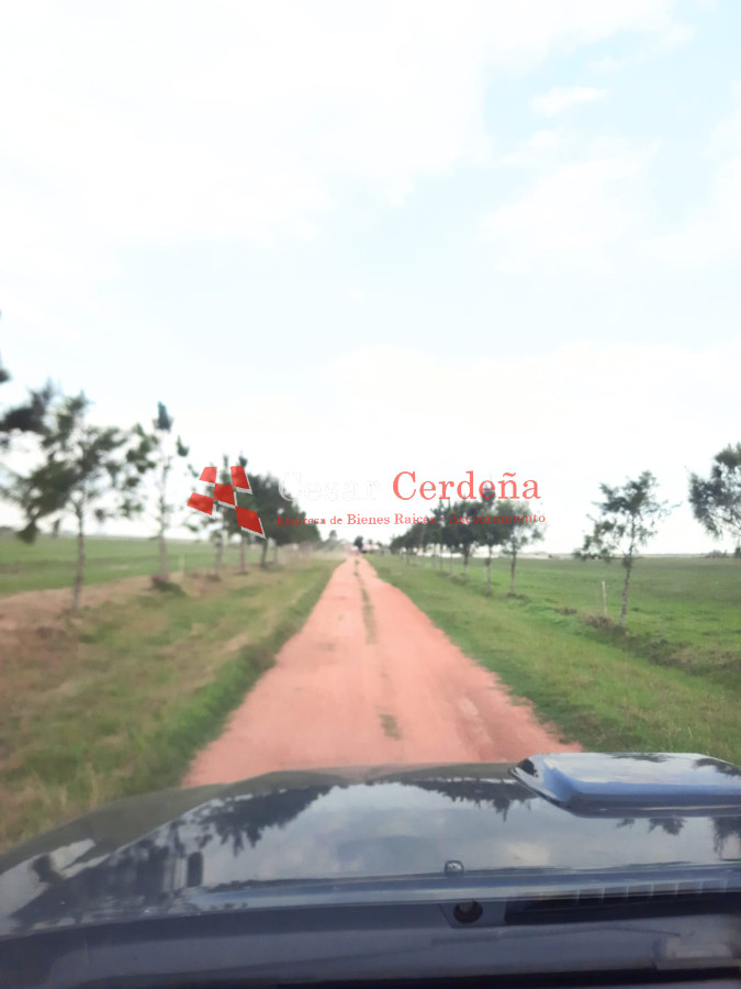 Campo Ref.1776 - VENTA - Campo 1324 has Agricolas Ganaderas Treinta y Tres