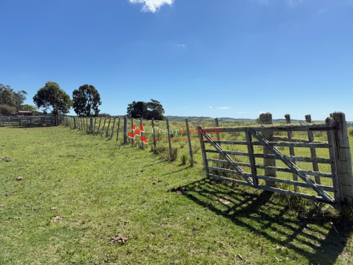 VENTA - Campo 316 hectareas en Garzon, Rocha - CCB1947P