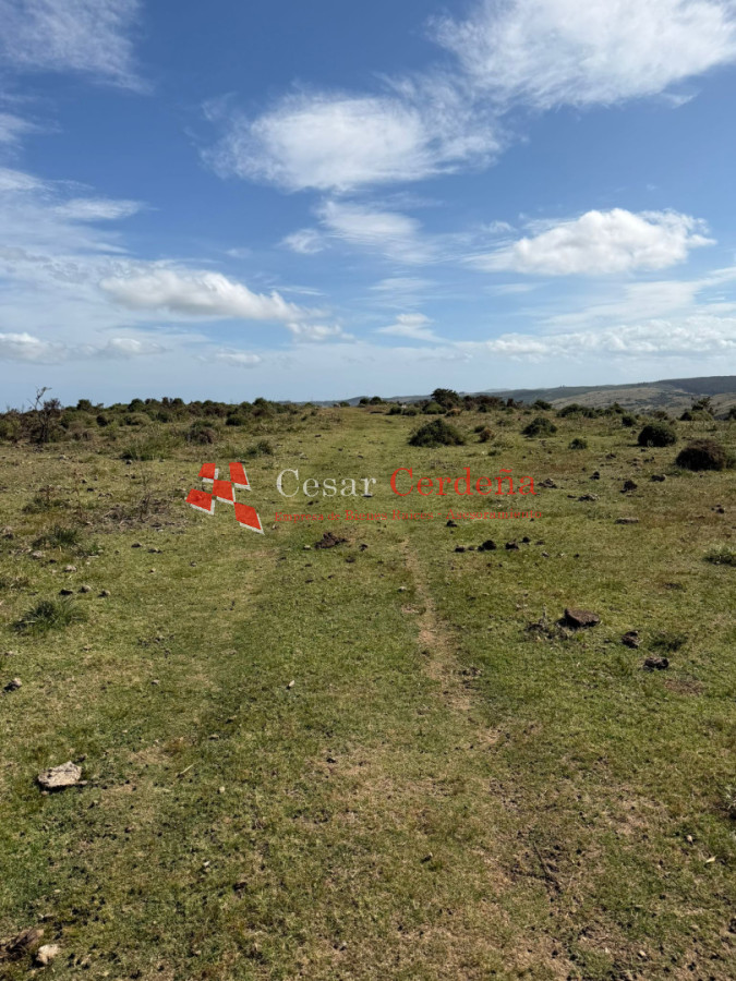 Campo Ref.1997 - VENTA - Campo Ganadero-Forestal de 117 hectáreas - Castillos, Rocha
