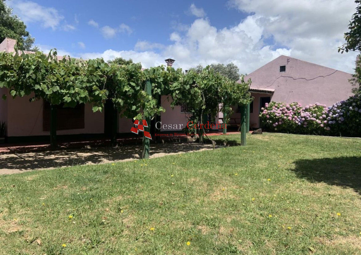 Campo Ref.1850 - VENTA - 745 HECTAREAS ROCHA