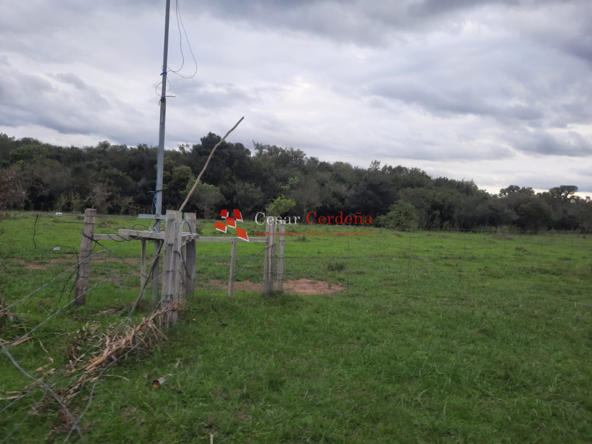 Campo Ref.1776 - VENTA - Campo 1324 has Agricolas Ganaderas Treinta y Tres