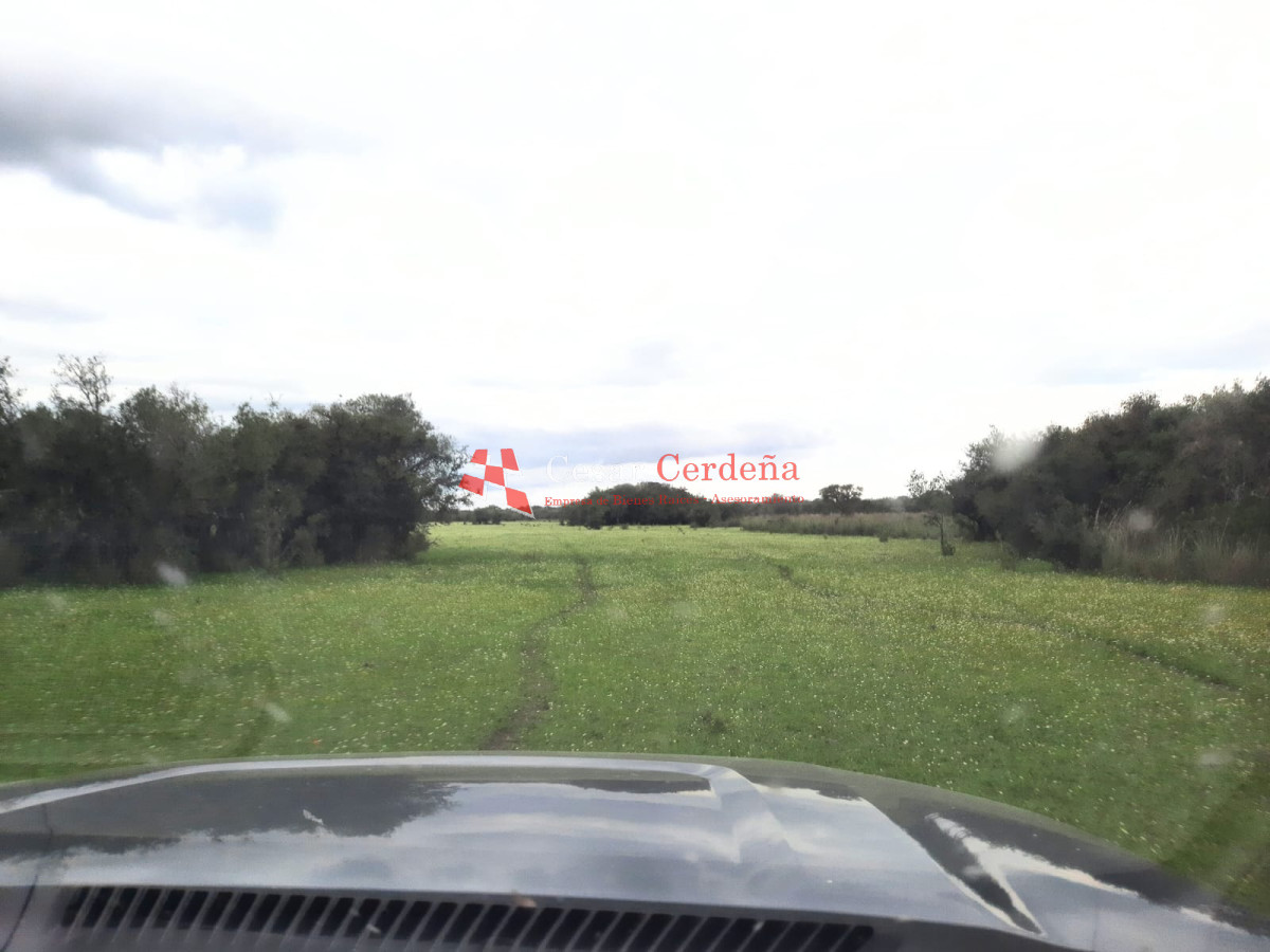 Campo Ref.1776 - VENTA - Campo 1324 has Agricolas Ganaderas Treinta y Tres