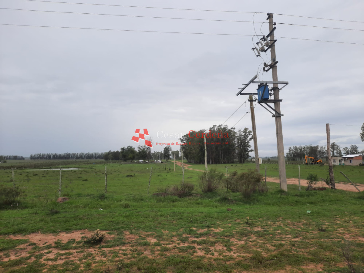 Campo Ref.1776 - VENTA - Campo 1324 has Agricolas Ganaderas Treinta y Tres